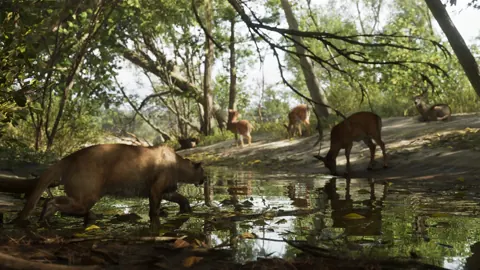 Mount Kalaga National Park — 5